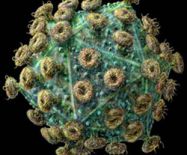 hình ảnh virus hiv