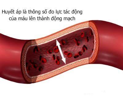 Huyết áp là áp lực máu trong động mạch