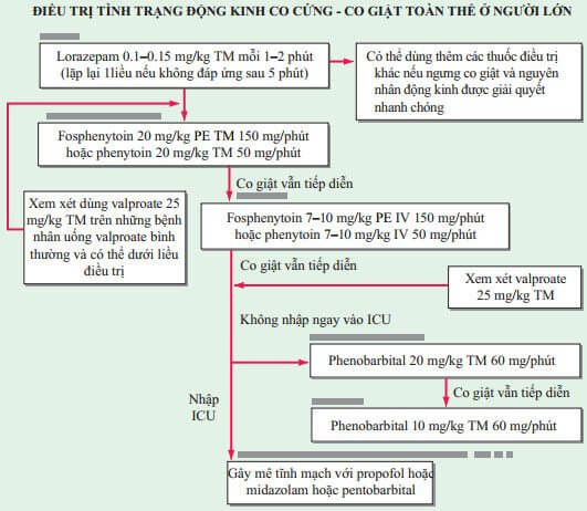 Điều trị tình trạng động kinh co cứng-co giật