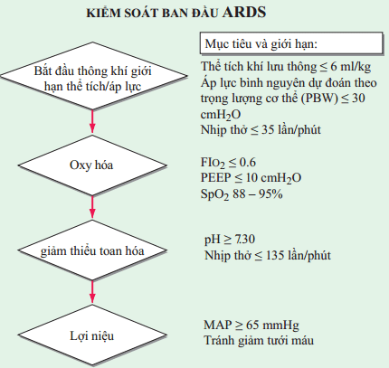 Hội chứng nguy ngập hô hấp cấp