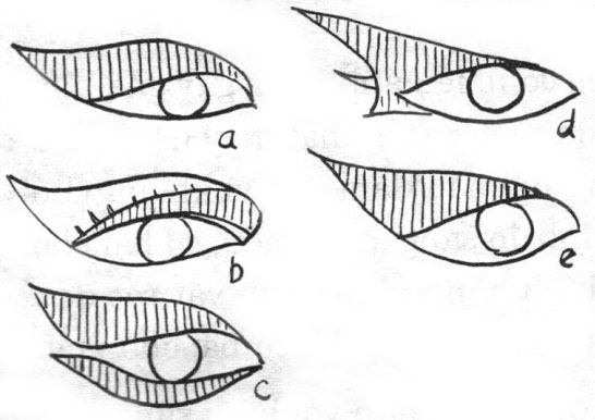 Trang điểm mắt phù hợp với từng kiểu mắt