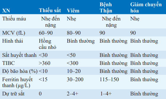 Chẩn đoán thiếu máu